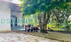 Bán nhà vườn Cam Đường 2340m², thổ cư 313m², giá 3.25 tỷ