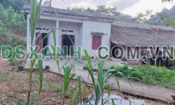 Bán Gấp 2900m² Đất 3MT, Giá Chỉ 985tr, Tân Sơn, Huyện Phú Thọ