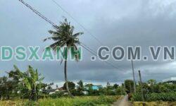 Bán đất thổ cư 973m² ngang 7.8m, Xã Bình Trinh Đông, Huyện Tân Trụ – 1.18 tỷ