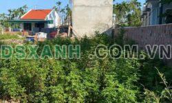 Bán đất 68m² Thiên Hương, Thủy Nguyên. Ô tô vào, giá 1.6xx tỷ