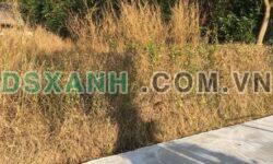 Bán lô đất Xã Xuyên Mộc 10x26m, 100m2 thổ cư, đầu tư tốt