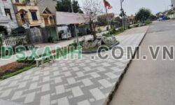 Bán đất đường DH94, 116.5m2, Xã Hưng Đạo, Huyện Tiên Lữ – 2 tỷX