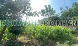 Bán Đất Khu 12 Kim Đức, Việt Trì 70m2 Full Thổ Cư, Giá Tốt