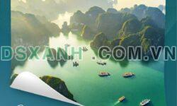 Bán căn hộ Sun Centro Town Hạ Long giá tốt nhất