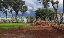 Bán đất Trần Nhân Tông, Phường Bảo Vinh, 10x20m, Giá chỉ 500tr