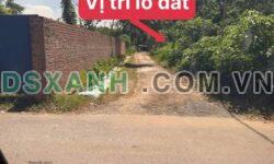 Bán đất Đ.Định Trung, TP.Vĩnh Yên, gần 200m2, MT 10m, Giá 23.x tỷ