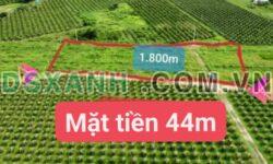 Bán đất 1800m² Xã Hàm Liêm, Huyện Phan Thiết – Giá chỉ 990 triệu