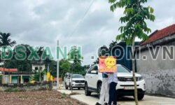 Bán đất Lưu Kỳ 2, Lưu Kiếm, Hải Phòng, 75-80m², Giá từ 800tr