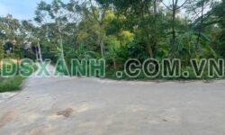 Bán đất Kim Đức, Việt Trì 192m2, ô tô tận cửa, giá 6xx
