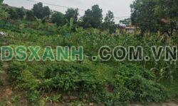 Bán đất đẹp Cẩm Khê, Phú Thọ, 2 mặt tiền kinh doanh, giá tốt
