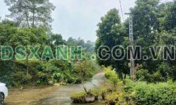 Bán Trang Trại 2ha, Thổ Cư, Vườn, Ao, KM13, Bản Cầm, Bảo Thắng, Lào Cai Giá 1.x Tỷ