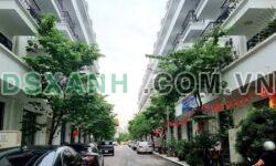 Bán nhà Gold City, Cao Xanh, Hạ Long 67.5m2, 5.5 tầng, 4.8 tỷ