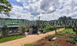 Bán đất 656m² view rừng thông, TDP Thành Công, Xã Nam Ban – 2.2 tỷ