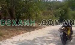 Bán Đất Lộc Ninh, Bình Phước 1000m2, Đường Bê Tông, Giá Chỉ 450 Triệu