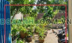 Bán đất thổ cư 123m2 Trạo Hà, Đông Triều. Giá chỉ 8xx triệu