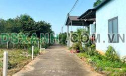 Bán 3 Nền Thổ Cư F0, 5x21m, 790tr, Đường Ô Tô, Xã Hưng Thịnh, H.Trảng Bom