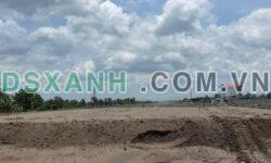 4871m2 đất lúa cạnh đường Vành Đai 3, xã Tân Hòa, Bến Lức, Long An giá 3,9 tỷ