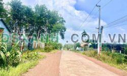 Bán Đất Sào Đường Số 12, Nha Bích 895m2, 50m2 TC, Giá Ngộp 550tr