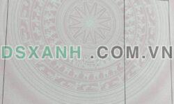 Bán đất thổ cư Hàm Liêm, Bình Thuận 200m², ngang 10m, giá tốt chỉ 750tr