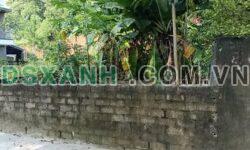 Bán đất 107m2, 50m2 thổ cư, Thanh Tiến, Sơn Tây. Giá tốt