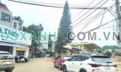 Bán nhà Hợp Giang, P. Thục Phán, 102m2, mặt tiền 5.2m, Giá tốt