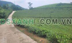 Bán đất nghỉ dưỡng 5478m² Yên Lập, Phú Thọ, view đẹp, giá tốt