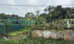 Bán đất 124m2 nở hậu Phú Ninh, Xã Thanh Vân – Toàn nhà đẹp