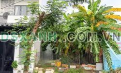 Bán đất Nguyễn Văn Tỵ 100m2, Nam Hòa Xuân, Giá 4.05 Tỷ