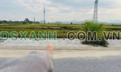Bán đất 135m2 Trung Thành Hưng Đông, Vinh, 4.5 tỷ