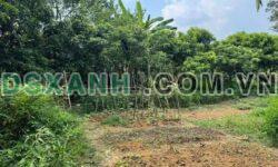 Bán đất Trung Môn 5x20m, 40m² thổ cư, gần KCN – Giá 7xx triệu