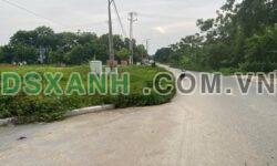 Bán đất 150m2 Thị trấn Hợp Châu, Huyện Tam Đảo, giá tốt