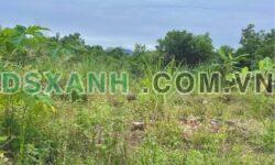 Bán đất Nam Thành, Quyết Thắng 150m2, MT 5m, 75m2 thổ cư