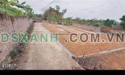 Bán đất 80m² Vệ Sơn Đoài, Huyện Sóc Sơn, Hà Nội – Sổ Đỏ
