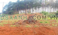 Bán đất nghỉ dưỡng view đẹp Mê Linh, Lâm Hà, Lâm Đồng 500m2, giá 1.1 tỷ TL