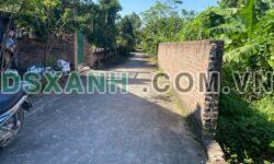 Bán đất Tân Minh 259m2, MT 12m, đường ô tô, đầu tư sinh lời