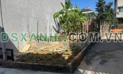 Bán đất Tùng Thiện, Sơn Tây 84.5m2 (145m2 sử dụng) nở hậu