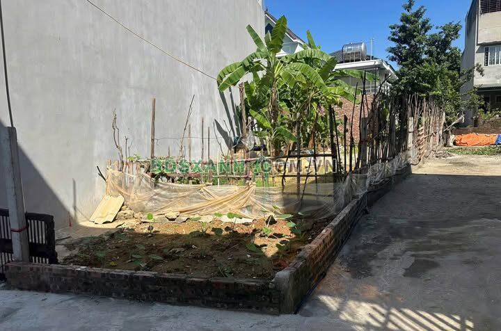 Bán đất Tùng Thiện, Sơn Tây 84.5m2 (145m2 sử dụng) nở hậu