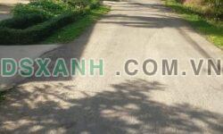Bán lô đất Phường Long Hoa, Tây Ninh 162m2, thổ cư 60m2, giá TL
