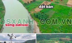 Bán đất Đạ Huoai 8900m² view sông, đường nhựa – Giá chỉ 2.95 tỷ