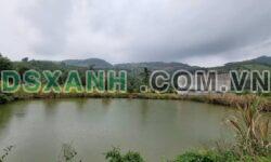Bán Vườn Sầu Riêng Tân Phú, Đồng Nai 5.3ha, Nhà Yến, 16.5 Tỷ TL