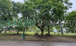 Bán đất 76.5m2 Phúc Sơn, Kinh Bắc, TP Bắc Ninh – Vị trí đẹp