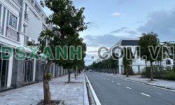 Bán Terrace Bắc Cường, Lào Cai 120m² Mặt Công Viên, Giá Cắt Lỗ LH: 0968551238