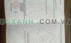 Bán đất Tam Đảo 991m2, giá tốt – Cơ hội đầu tư sinh lời