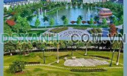 Bán Lô Góc KĐT Tân Phú Hưng 57m2, Phường Thanh Bình, Hải Dương Giá 3.x tỷ