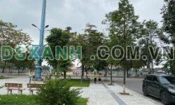 Bán đất 70m2 Tổ 5 Phù Lương, Quế Võ, Bắc Ninh, 5.95 tỷ, View công viên