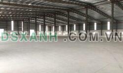 Cho thuê xưởng 13.000m² Cẩm Giàng, Hải Dương – Giá tốt nhất