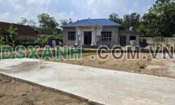 Bán Đất Xã Dương Bắc, H. Tam Dương Gần 100m² Chỉ 3xx Triệu
