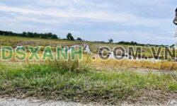 Bán Đất Nở Hậu Hơn 750m² X. Đức Hòa Thượng, H. Đức Hòa 850tr