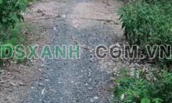 Bán Ruộng Xã Ba Sao, Huyện Cao Lãnh, 2.7ha MT 110m, Đồng Tháp