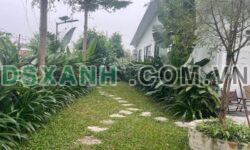 Bán Villa Huyện Lương Sơn, Xã Cư Yên 600m2 (150m ONT) Giá TL
